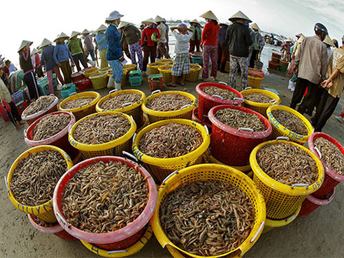 thi tran long hai thi tran ven bien 300 nam tuoi cua ba ria vung tau - Thị trấn Long Hải – thị trấn ven biển 300 năm tuổi của Bà Rịa Vũng Tàu   