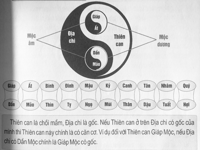 Thiên Can - Địa Chi - Ảnh Internet