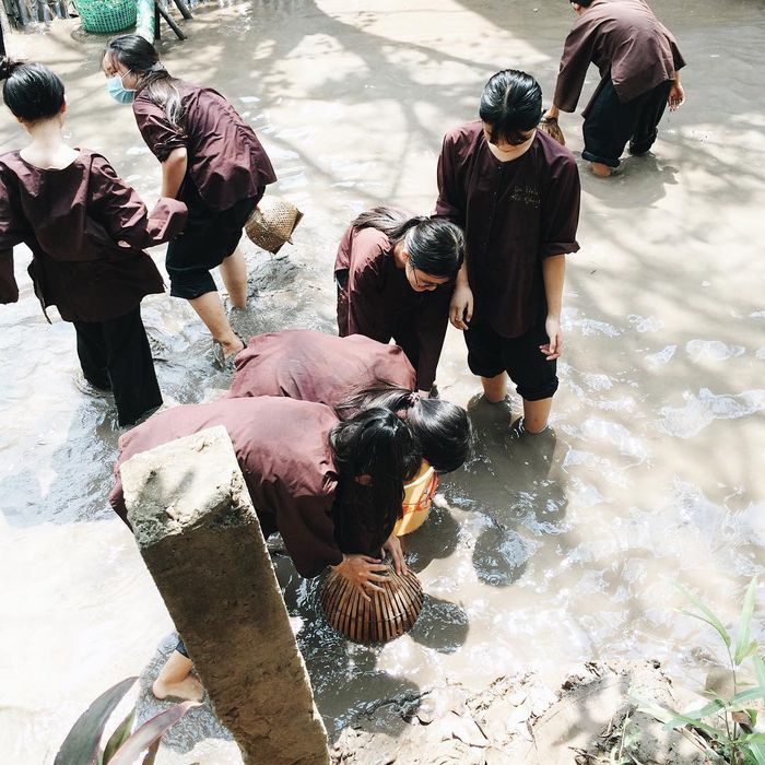 Trò chơi bắt cá rô đồng cực kì vui nhộn