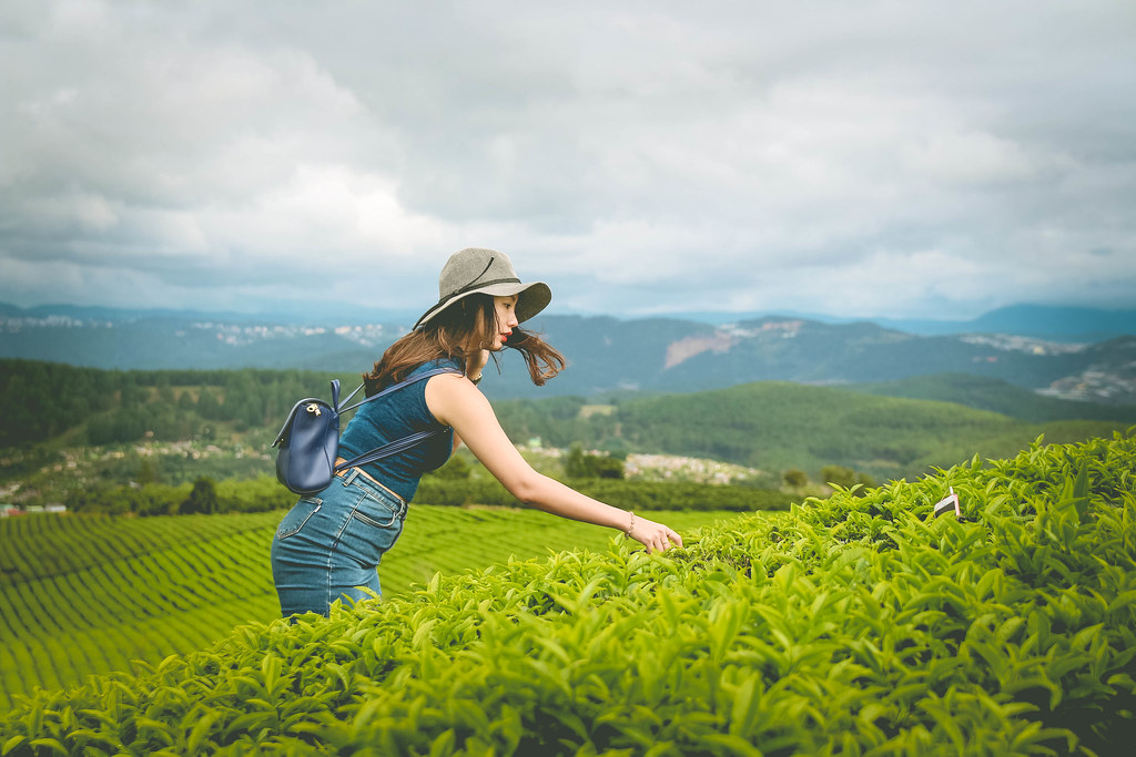 dia diem check in dep nhat da lat doi che - Top 10 địa điểm check-in đẹp nhất ở Đà Lạt không thể bỏ qua